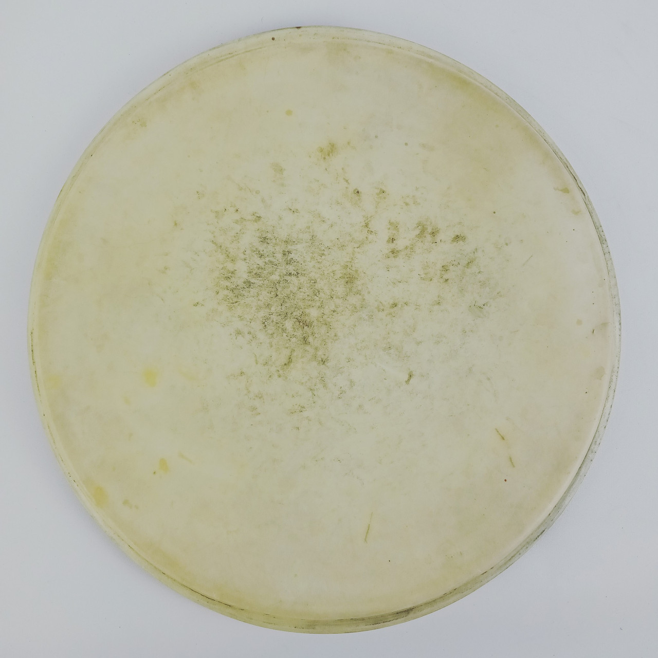 Leedy/Ludwig 14" Snare Drum Calf Skin Batter Head Floor Tom Vintage 20s Unmarked — main photograph