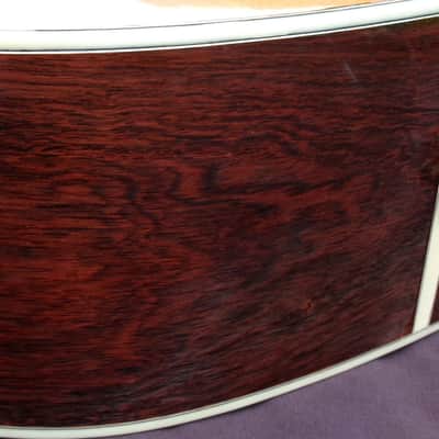 Sada Yairi YD304 Brazilian Rosewood 1979 Natural+Hard Case image 16