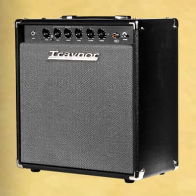 Traynor YGL1 | 15W All-Tube 1x12" Guitar Combo. New, with Full Warranty! image 6
