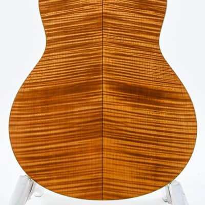 Taylor GS6 2009 image 4