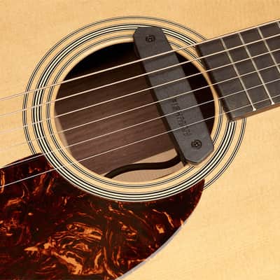 Neo-D Humbucker PRO-NEO-D02 Fishman image 9