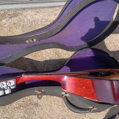 Amada Bowl Back Vintage Mandolin |  1950s image 8