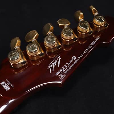 ESP-LTD Caleb Shomo CS-II Phoenix Signature Electric Guitar - Vintage Natural 378 image 5