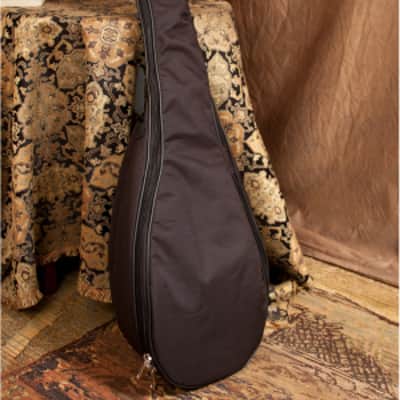 Roosebeck GLNVG | Lute-Guitar, 6 String, Variegated, Gears. New with Full Warranty! image 5