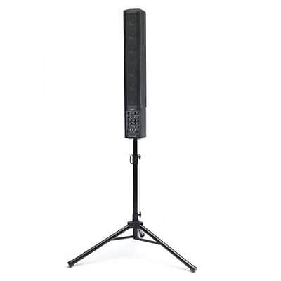 Fishman SA220 Solo Performance System