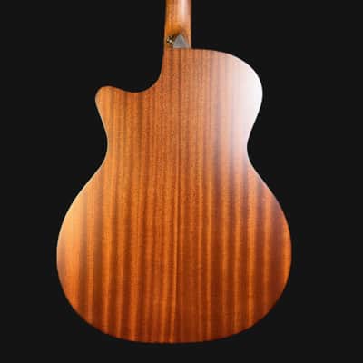 Martin  GPC-10E Roadseries Special Electro Acoustic Guitar image 4