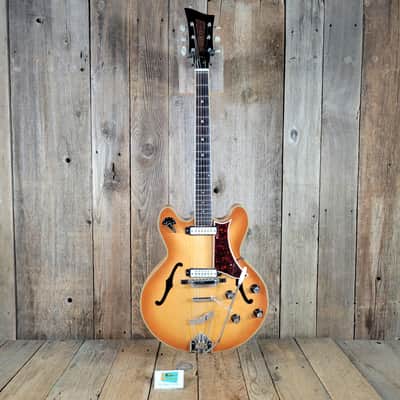 Eko Barracuda 290 1963 Excellent w/ Ibanez Hard Case - Amber Sunburst image 2