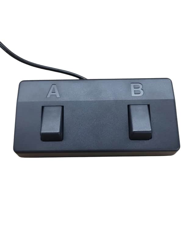 Roland 2-Button Footswitch for Acoustic Singer Amps (Live and Pro) image 1