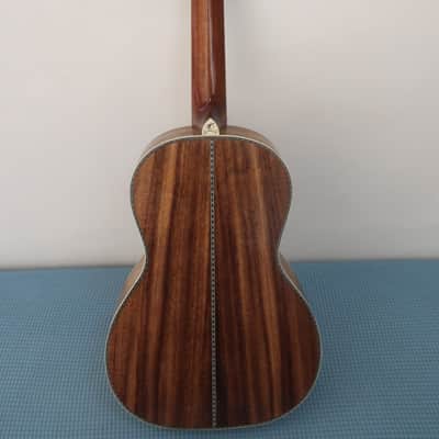 Washburn R318SKK 125th Anniversary Limited Edition Parlor Guitar 2008 Coffin Case Paper Work Very Clean #135 of 250 image 11