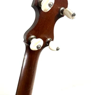 Vega vintage tenor cello banjo 4 strings with painted head New York made Style N “the Tabby” 1924 - Wood and half skin image 6