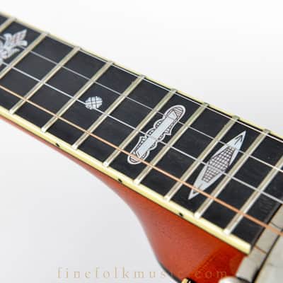 1995 PIETSCH TUBAPHONE TENOR BANJO image 14