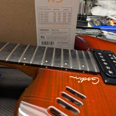 Godin xtSA 2006 - Light Burst with OHSC image 19