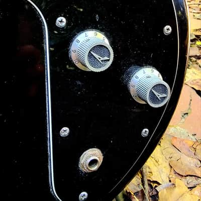 Peavey T-25 Special, Made in USA 1983, Pro Serviced image 3