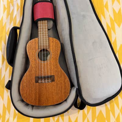 Kala SMHC W/Case - Concert, Solid Mahogany, Satin Finish image 8