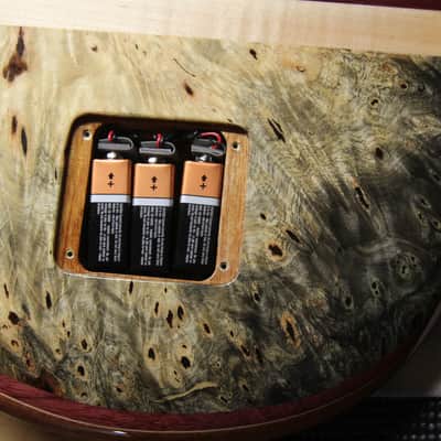 2016 Left-Handed Alembic Mark King 5 Deluxe Buckeye Burl ~Side LED's~ image 21
