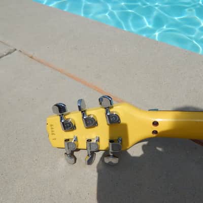 Hamer Vector 1981 Yellow V OHSC Tags image 14