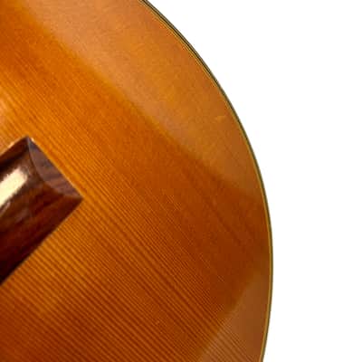 Hohner Holiday 110 Classical Guitar MIJ 1990's image 18