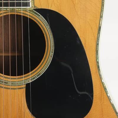 Martin D-45 w. Calton case (1977) image 9