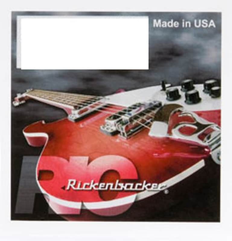 Rickenbacker Standard Guitar Set image 1