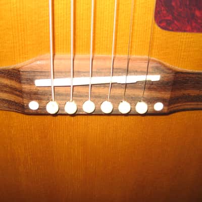 Epiphone Masterbilt Tribute Texan FT79 Acoustic/Electric Guitar~2000 ~ w/Hard Case~Excellent~Fishman image 4