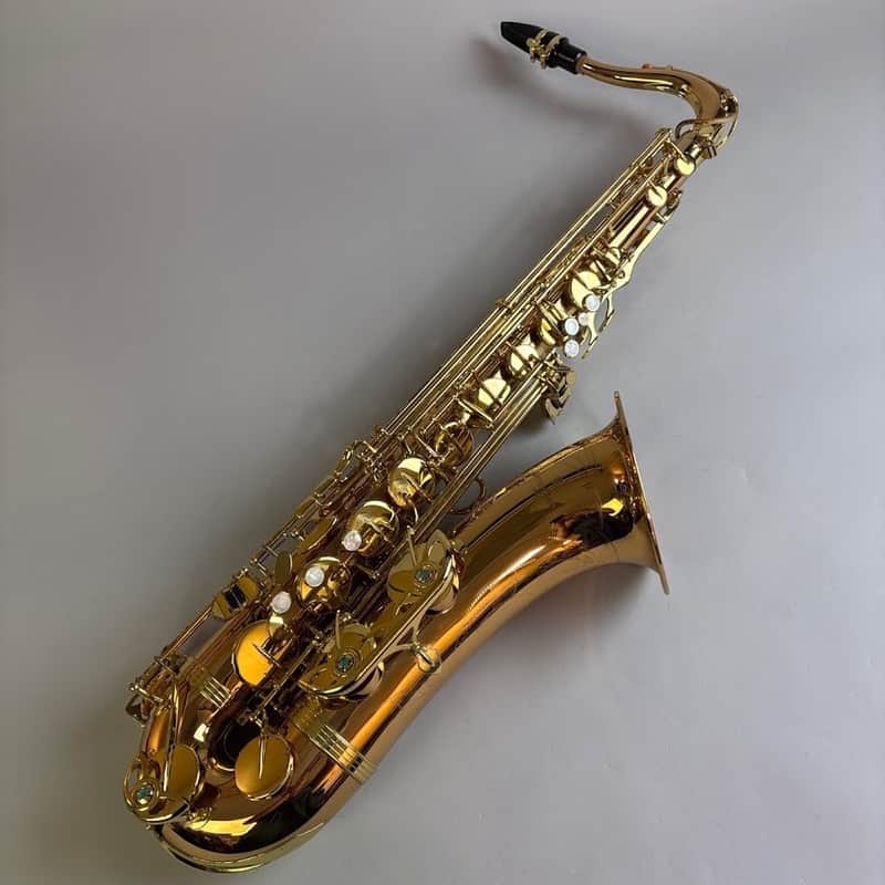Yanagisawa T-WO2 image 1