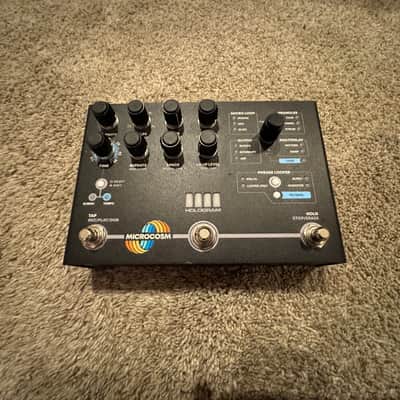 Hologram Electronics Microcosm | Reverb