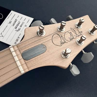 PRS Silver Sky Lunar Ice - John Mayer Signature limited edition image 1