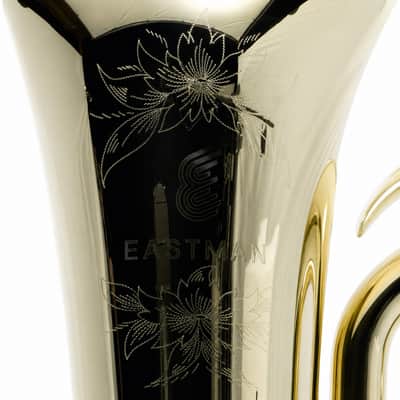 Eastman EBF862 Professional F Tuba in Clear Lacquer image 2