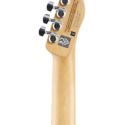 Charvel So-Cal Style 2 24-Fret Guitar Caramelized Maple Neck Ash Body image 7