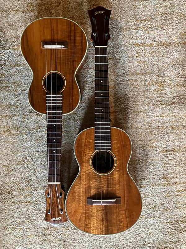 Collings UC2K & UT2K +/- 2010 - Glossy image 1