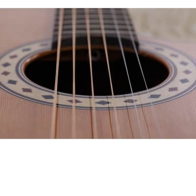 Alhambra CSs-3 CW E9 2024 Crossover Black Label Solid Cedar Top Sipo Neck Truss Rod 6-String Classical Acoustic-Electric Guitar w/Padded Gig Bag image 5