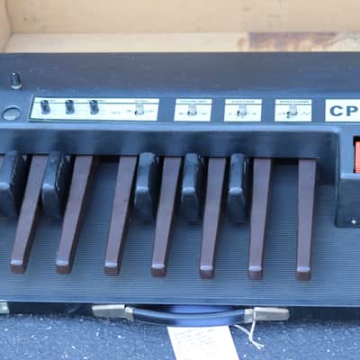 Crumar cpb-2 bass pedals (moog taurus)
