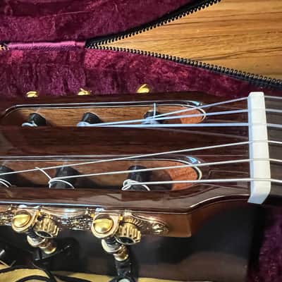 MINT Cordoba C9 Parlor with Barbera Pickup image 6