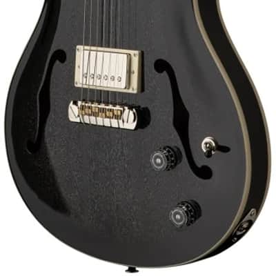 PRS SE Hollowbody Standard - Dog Hair Smokeburst image 2
