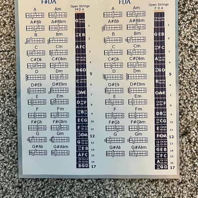 Turkish Saz Baglama with Hard Case, Chord Sheet, Practice Book, Picks, and Extra Strings image 9