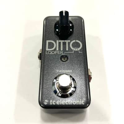 TC Electronic Ditto Looper Guitar Effects Pedal – Excellent Condition – Compact One-Knob Looper image 2