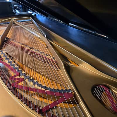 Steinway & Sons 9ft Model D 1974 - Satin Ebony image 9