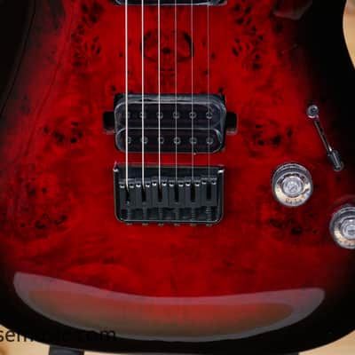 Schecter Omen Elite-6 - Black Cherry Burst image 6