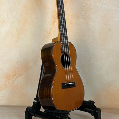 Gorgeous Ohana CK-50G Solid Cedar Top Concert Ukulele image 3