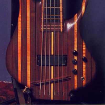 2006 Carl Thompson Rainbow 6-string Fretless Bass image 12