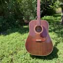 Fender Newporter 1987 - Natural