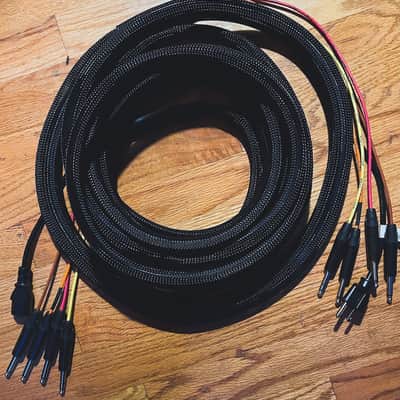 SylviaTone Guitars 12ft 4 cable method loom - AC cable image 2