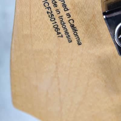 Fender Standard Stratocaster Solid Body Electric Guitar Candy Cola Finish image 13