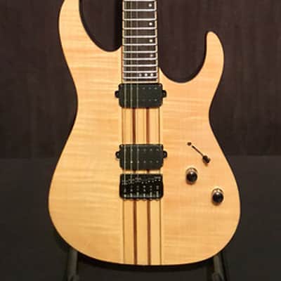 Schecter Banshee Elite 6 Electric Guitar image 2