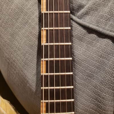 Washburn wi 68 idol USA Derek Trucks image 8