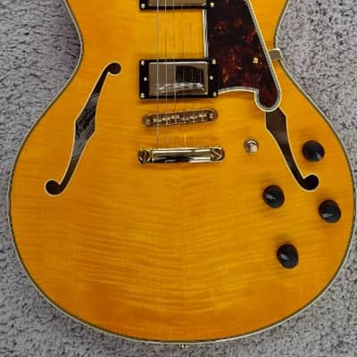 D'Angelico Excel DC Semi-Hollow Body Electric Guitar w/Hard Case Vintage Natural image 2
