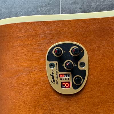 Seagull Entourage ca. 2015 - Rustic – Made in Canada – Frisch vom Setup & Neue Saiten – Inkl. Koffer image 11