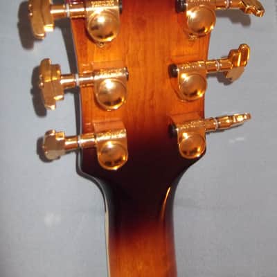 Devlin DV500 Archtop image 5