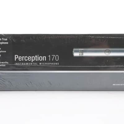 AKG Perception 170 Condenser Microphone and Audix XLR Cable #48043 image 6