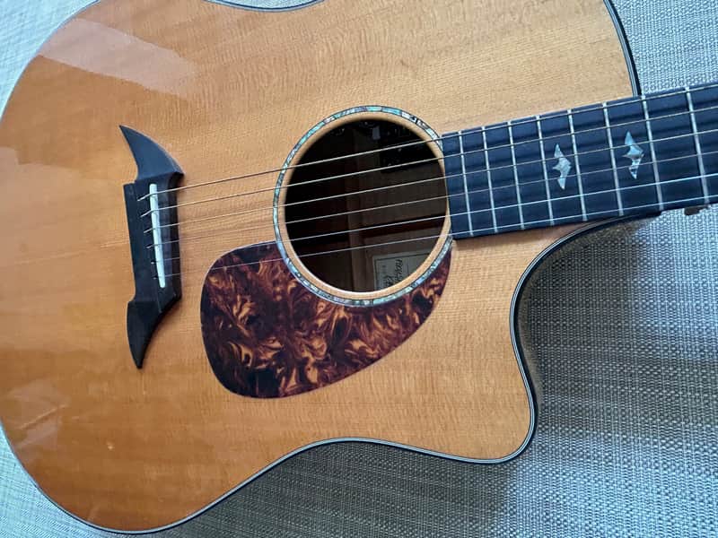 Breedlove Performance Focus D 2004 - new frets, Natural image 1